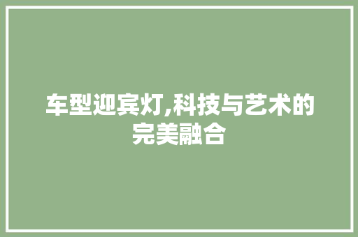 车型迎宾灯,科技与艺术的完美融合