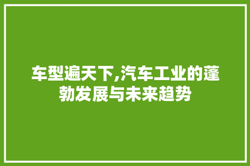 车型遍天下,汽车工业的蓬勃发展与未来趋势