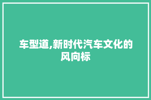 车型道,新时代汽车文化的风向标