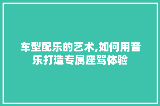 车型配乐的艺术,如何用音乐打造专属座驾体验