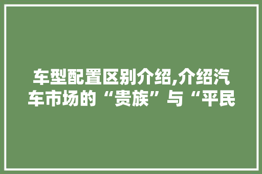 车型配置区别介绍,介绍汽车市场的“贵族”与“平民”