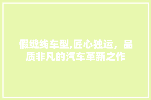 假缝线车型,匠心独运，品质非凡的汽车革新之作