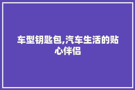 车型钥匙包,汽车生活的贴心伴侣