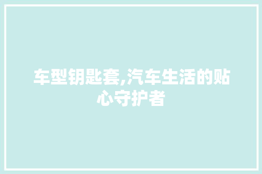 车型钥匙套,汽车生活的贴心守护者