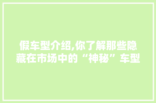 假车型介绍,你了解那些隐藏在市场中的“神秘”车型吗