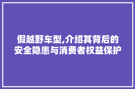 假越野车型,介绍其背后的安全隐患与消费者权益保护