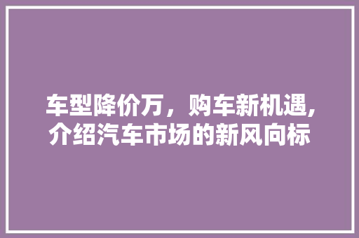 车型降价万，购车新机遇,介绍汽车市场的新风向标