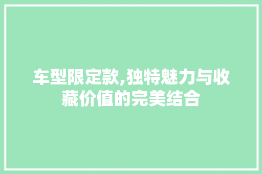 车型限定款,独特魅力与收藏价值的完美结合