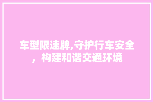车型限速牌,守护行车安全，构建和谐交通环境