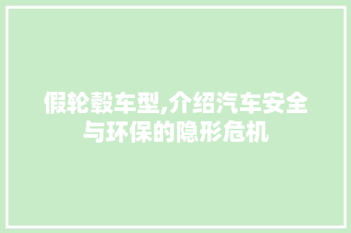 假轮毂车型,介绍汽车安全与环保的隐形危机