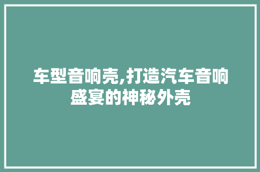 车型音响壳,打造汽车音响盛宴的神秘外壳