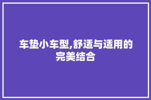 车垫小车型,舒适与适用的完美结合