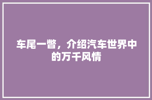 车尾一瞥，介绍汽车世界中的万千风情