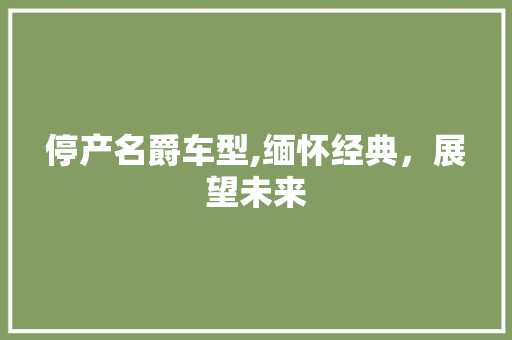 停产名爵车型,缅怀经典，展望未来