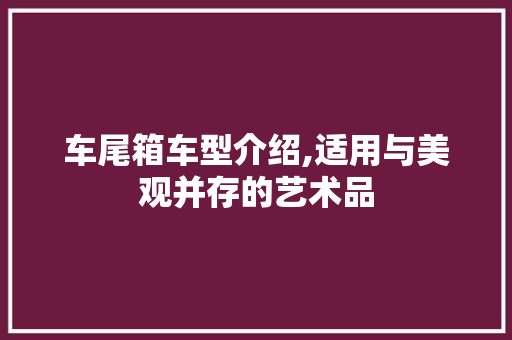 车尾箱车型介绍,适用与美观并存的艺术品