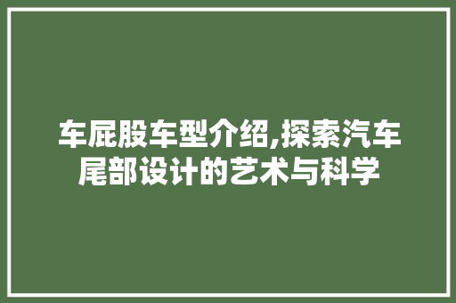 车屁股车型介绍,探索汽车尾部设计的艺术与科学
