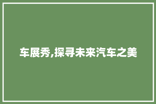 车展秀,探寻未来汽车之美