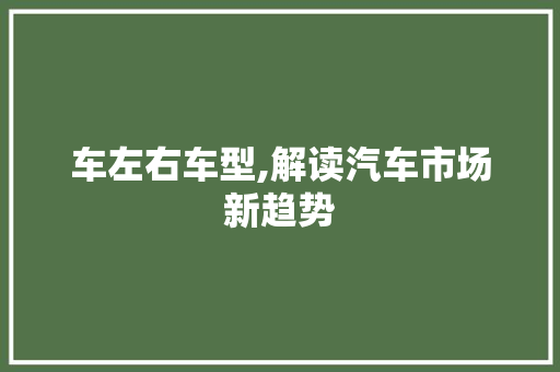 车左右车型,解读汽车市场新趋势 新能源汽车