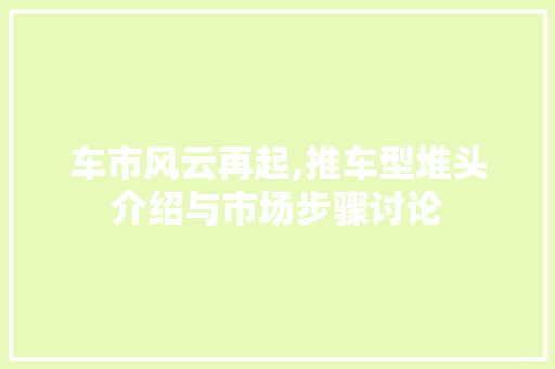 车市风云再起,推车型堆头介绍与市场步骤讨论