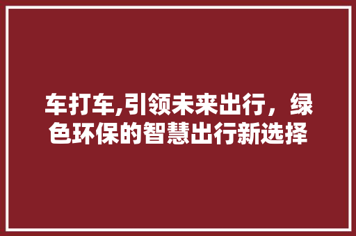 车打车,引领未来出行，绿色环保的智慧出行新选择