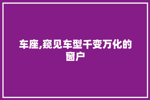车座,窥见车型千变万化的窗户