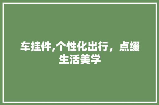 车挂件,个性化出行，点缀生活美学 新款车型