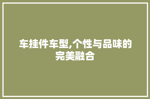 车挂件车型,个性与品味的完美融合