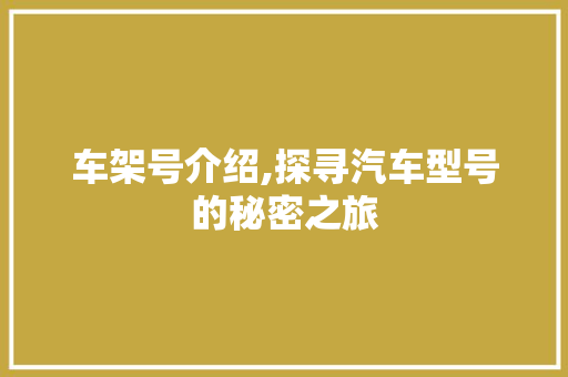 车架号介绍,探寻汽车型号的秘密之旅