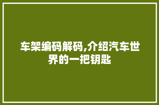 车架编码解码,介绍汽车世界的一把钥匙 新能源汽车