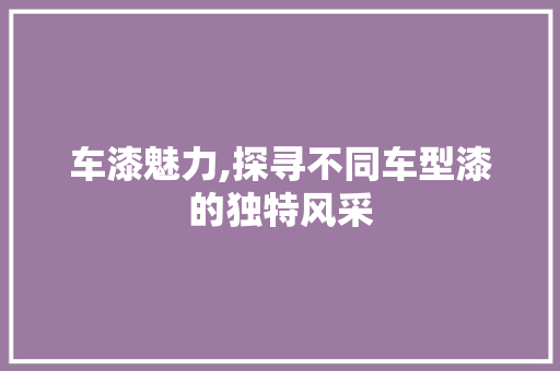 车漆魅力,探寻不同车型漆的独特风采