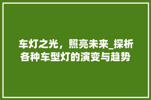 车灯之光，照亮未来_探析各种车型灯的演变与趋势