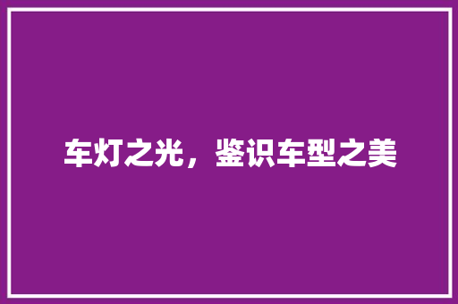 车灯之光，鉴识车型之美