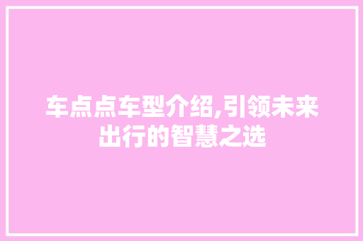 车点点车型介绍,引领未来出行的智慧之选