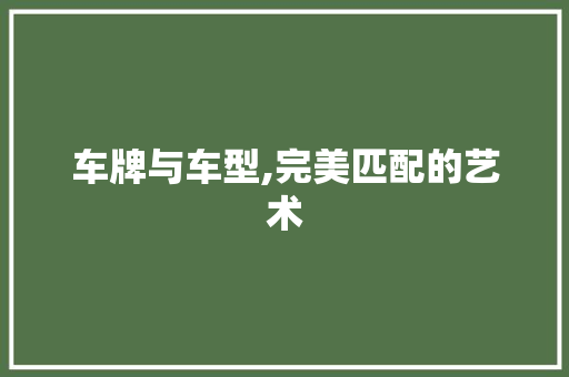 车牌与车型,完美匹配的艺术