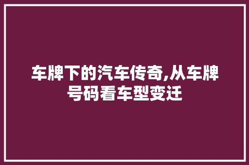 车牌下的汽车传奇,从车牌号码看车型变迁