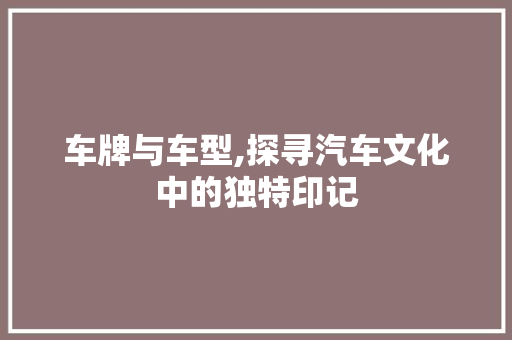 车牌与车型,探寻汽车文化中的独特印记