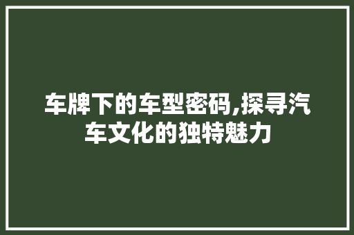 车牌下的车型密码,探寻汽车文化的独特魅力