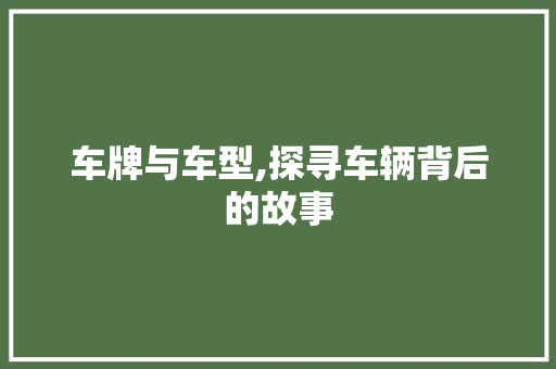 车牌与车型,探寻车辆背后的故事