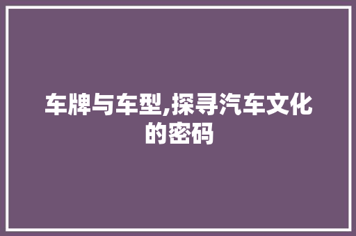 车牌与车型,探寻汽车文化的密码