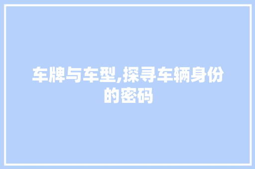 车牌与车型,探寻车辆身份的密码