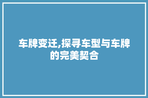 车牌变迁,探寻车型与车牌的完美契合