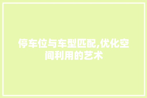 停车位与车型匹配,优化空间利用的艺术