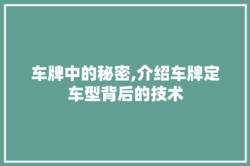 车牌中的秘密,介绍车牌定车型背后的技术