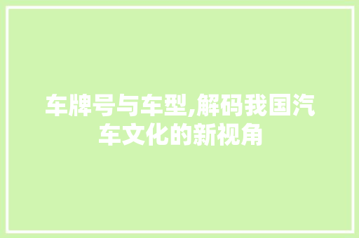 车牌号与车型,解码我国汽车文化的新视角