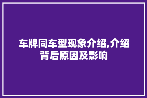 车牌同车型现象介绍,介绍背后原因及影响