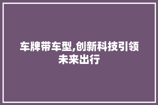 车牌带车型,创新科技引领未来出行