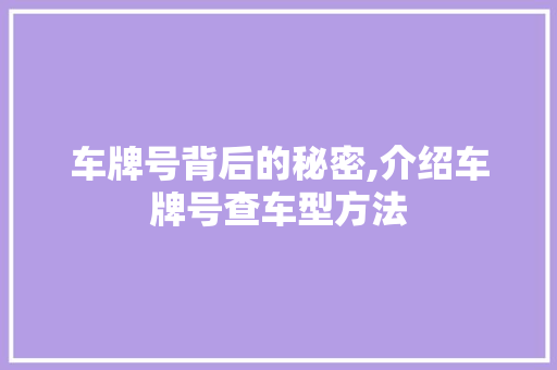 车牌号背后的秘密,介绍车牌号查车型方法