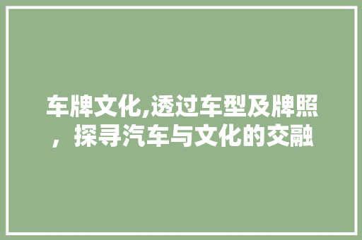 车牌文化,透过车型及牌照，探寻汽车与文化的交融