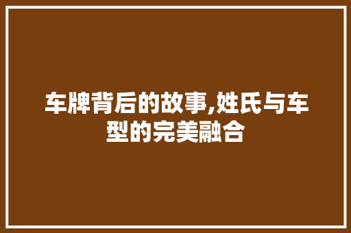车牌背后的故事,姓氏与车型的完美融合