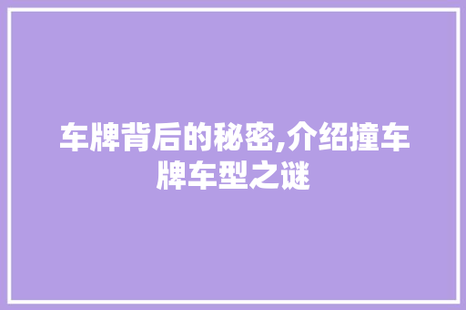 车牌背后的秘密,介绍撞车牌车型之谜